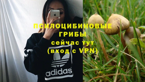 твердый Арсеньев