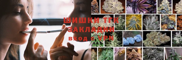 твердый Арсеньев